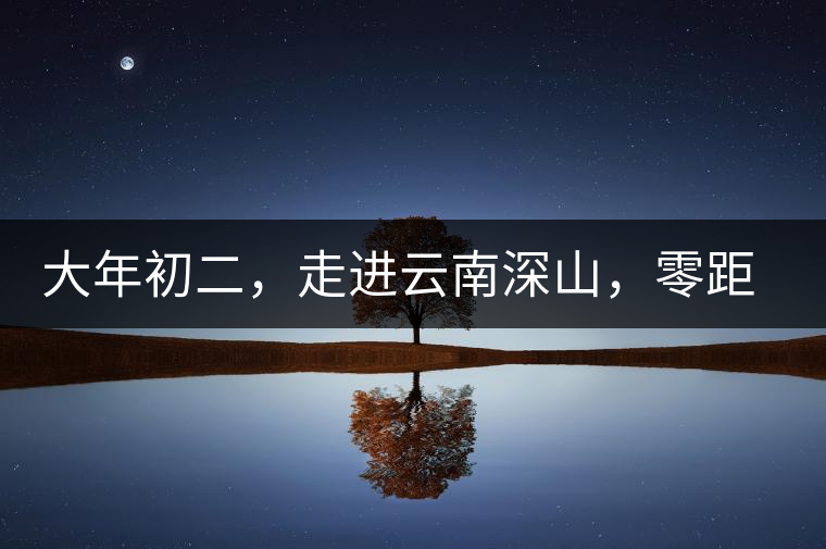 大年初二，走進(jìn)云南深山，零距離接觸古茶樹(shù)