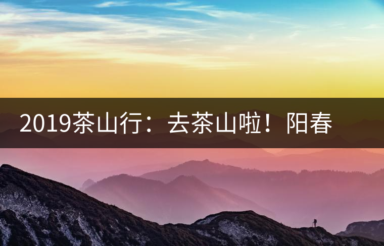 2019茶山行：去茶山啦！陽春三月，和南茗佳人一起上山喝好茶！