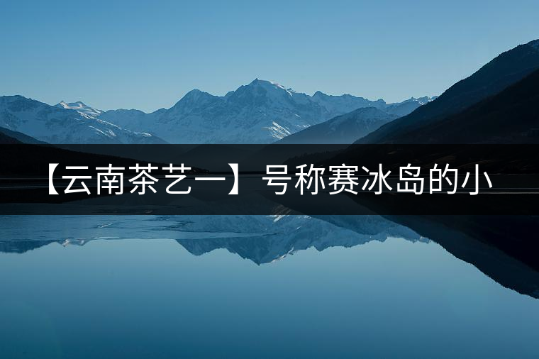 【云南茶藝一】號稱賽冰島的小戶賽憑什么！今天帶大家一起研究下