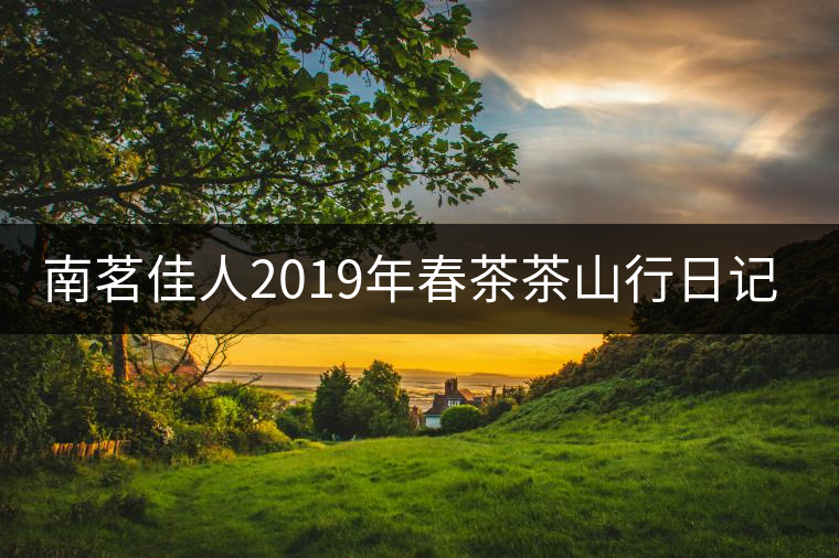 南茗佳人2019年春茶茶山行日記17:小戶賽，賽冰島!南茗佳人2019年春茶茶山行日記17：小戶賽，賽冰島！