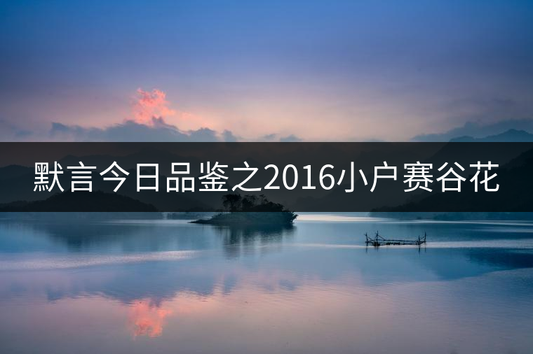 默言今日品鑒之2016小戶(hù)賽谷花
