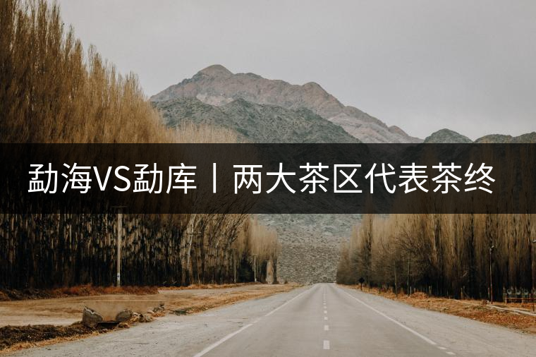 勐海VS勐庫(kù)丨兩大茶區(qū)代表茶終極PK 勐海VS勐庫(kù)丨兩大茶區(qū)代表茶終極PK