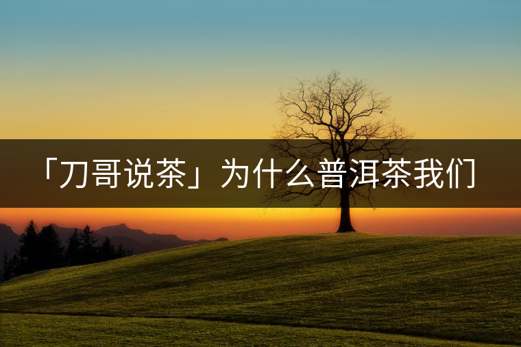 「刀哥說茶」為什么普洱茶我們情愿選三無？