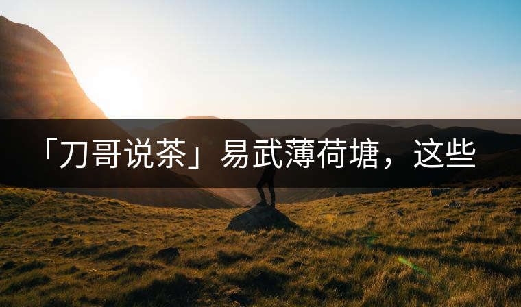 「刀哥說茶」易武薄荷塘，這些冷知識你該知道