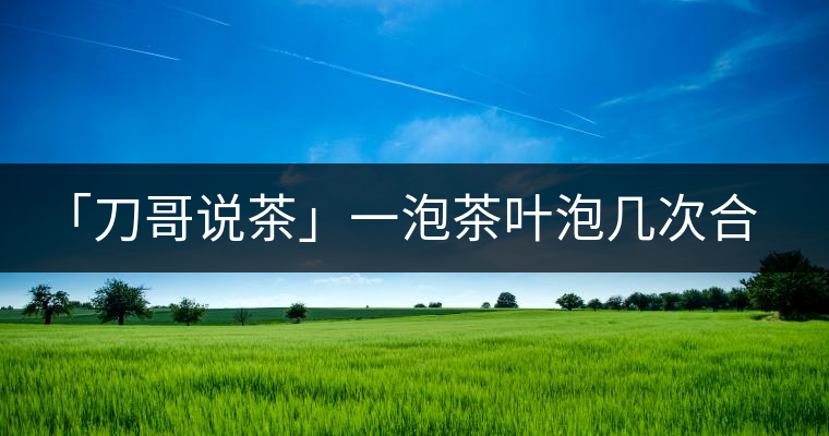 「刀哥說茶」一泡茶葉泡幾次合適?「刀哥說茶」一泡茶葉泡幾次合適？