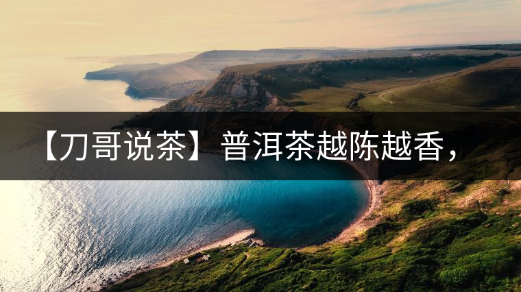 【刀哥說茶】普洱茶越陳越香，為什么新茶更受歡迎？