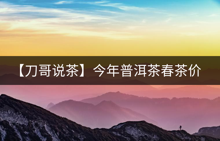 【刀哥說茶】今年普洱茶春茶價格，我不預測