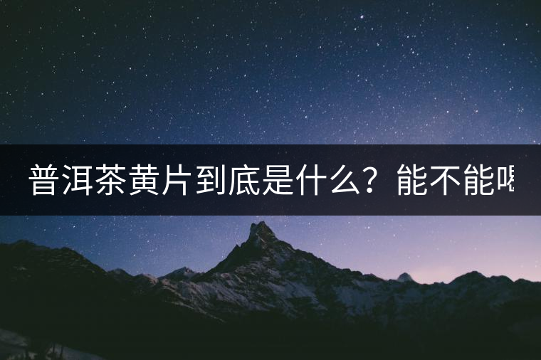 普洱茶黃片到底是什么？能不能喝？