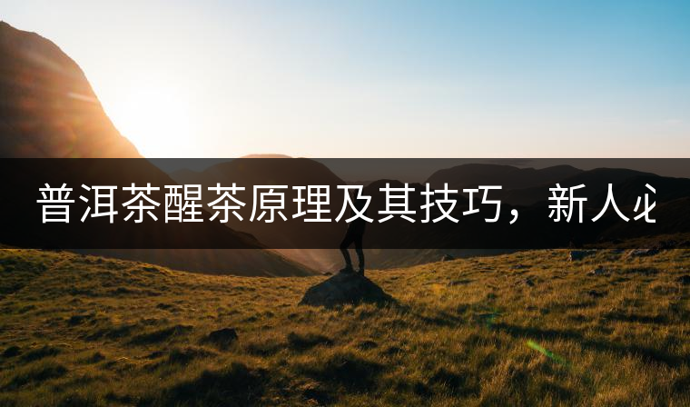 普洱茶醒茶原理及其技巧，新人必備！