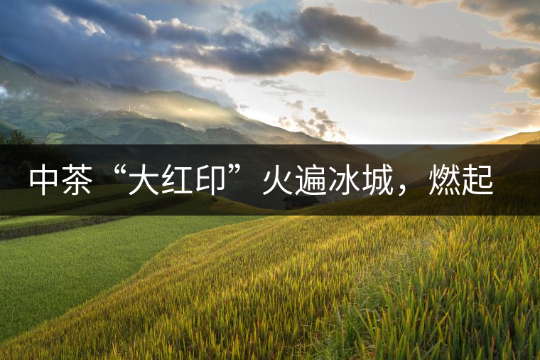 中茶“大紅印”火遍冰城，燃起普洱茶新味蕾