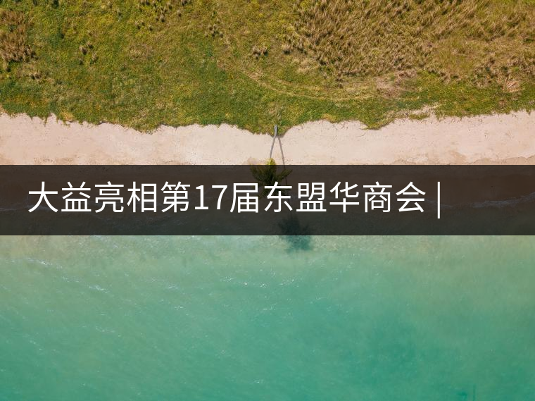 大益亮相第17屆東盟華商會(huì) | 海內(nèi)外嘉賓共謀發(fā)展，共品大益茶