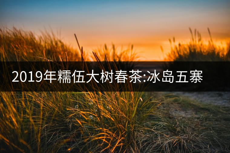 2019年糯伍大樹春茶:冰島五寨甜柔口感的代表，售價(jià)不...2019年糯伍大樹春茶：冰島五寨甜柔口感的代表，售價(jià)不到500