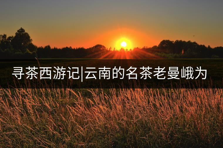 尋茶西游記|云南的名茶老曼峨為什么這么多人愛，這里...尋茶西游記｜云南的名茶老曼峨為什么這么多人愛，這里給你答案！