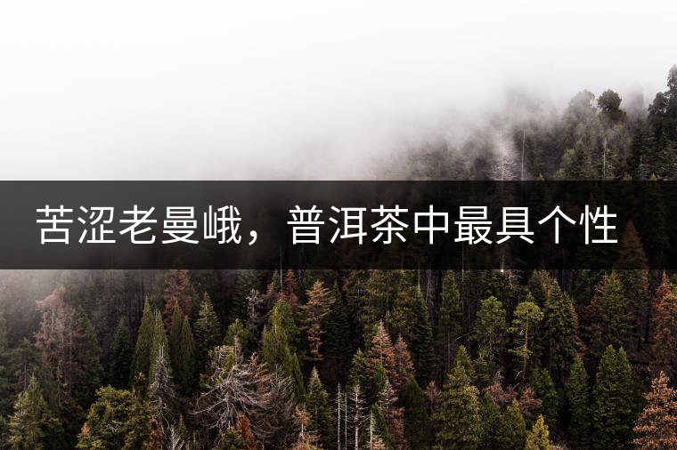 苦澀老曼峨，普洱茶中最具個(gè)性的“布朗味”苦澀老曼峨，普洱茶中最具個(gè)性的“布朗味”