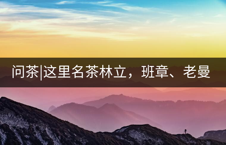 問茶|這里名茶林立，班章、老曼峨皆在其列!問茶｜這里名茶林立，班章、老曼峨皆在其列！