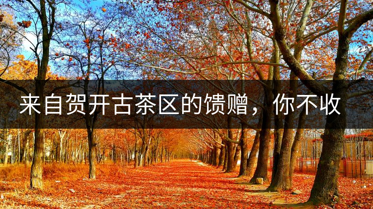 來自賀開古茶區(qū)的饋贈，你不收一波嗎?來自賀開古茶區(qū)的饋贈，你不收一波嗎？