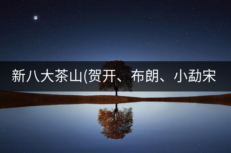 新八大茶山(賀開、布朗、小勐宋、巴達)講解二新八大茶山（賀開、布朗、小勐宋、巴達）講解二