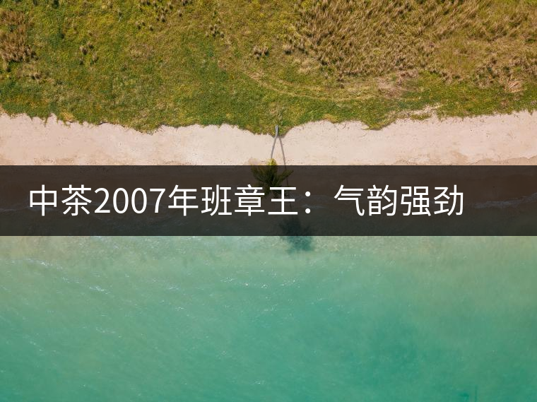 中茶2007年班章王：氣韻強(qiáng)勁，蜂蜜水般甜潤，一直被老茶客撿漏