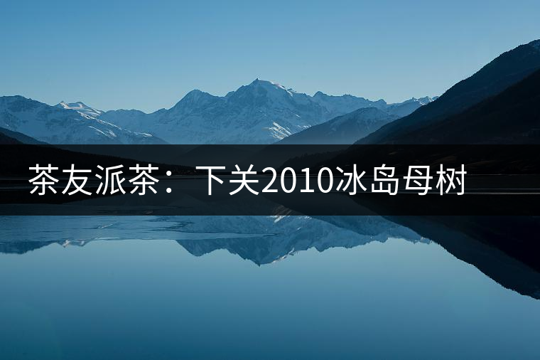 茶友派茶：下關(guān)2010冰島母樹，挺甜的，母樹是個(gè)什么概念？