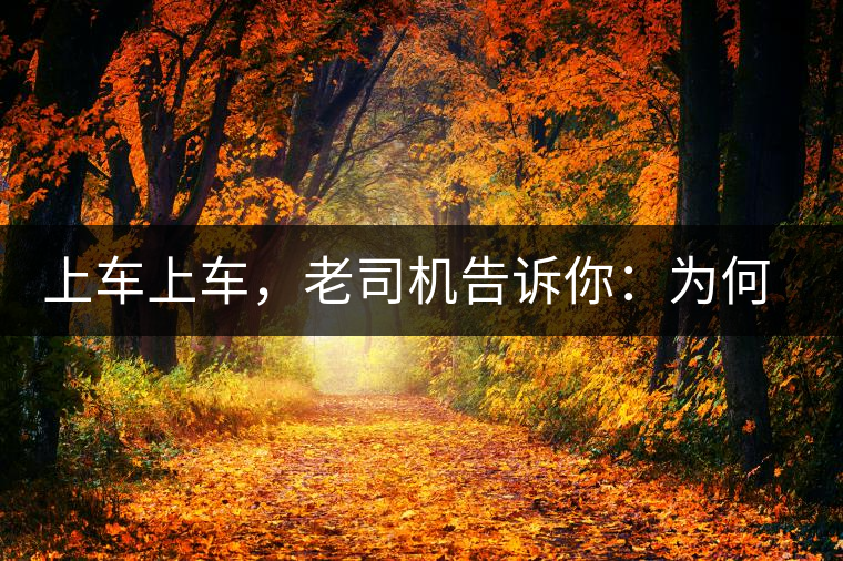 上車上車，老司機(jī)告訴你：為何明前茶貴如金