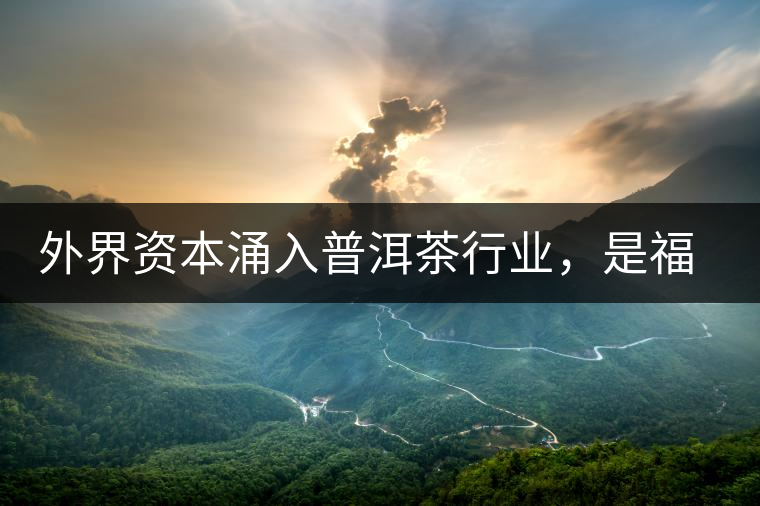 外界資本涌入普洱茶行業(yè)，是福還是禍？