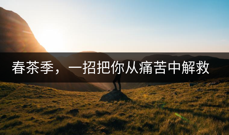 春茶季，一招把你從痛苦中解救出來