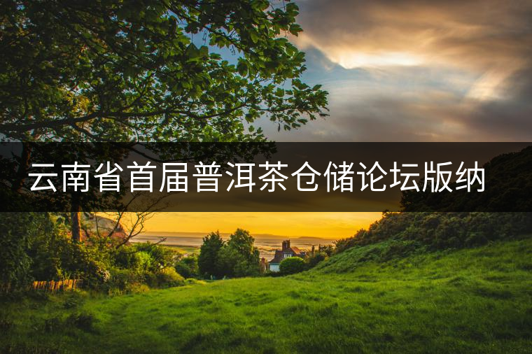 云南省首屆普洱茶倉儲論壇版納開講 各地可先制訂普洱茶倉儲地方標準