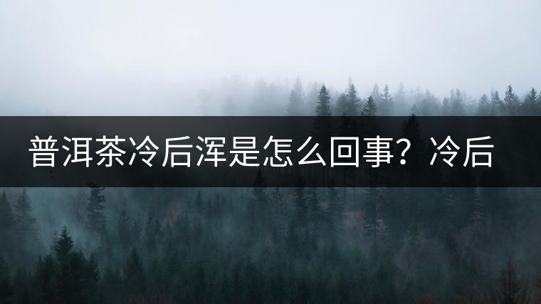普洱茶冷后渾是怎么回事？冷后渾的普洱茶品質(zhì)好不好？