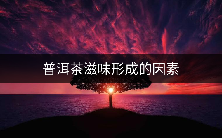 普洱茶滋味形成的因素 普洱茶滋味形成的因素