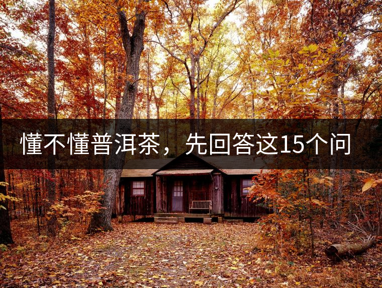 懂不懂普洱茶，先回答這15個(gè)問(wèn)題試試？