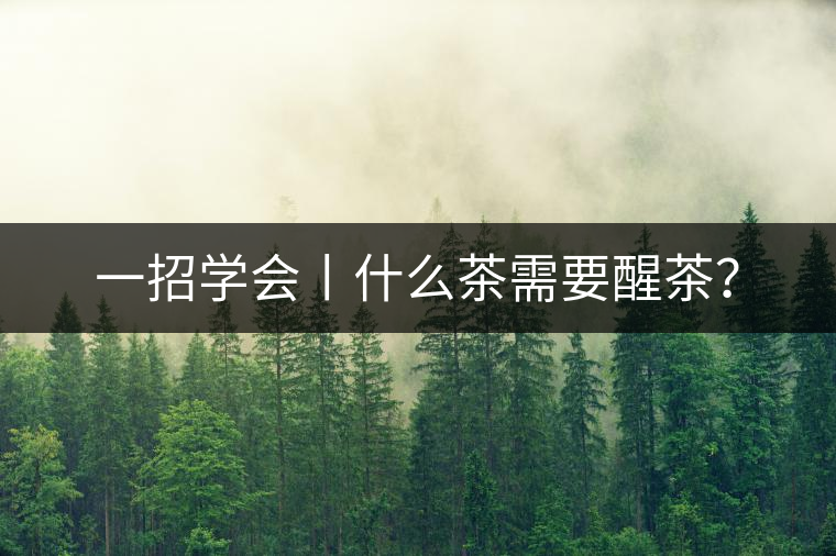 一招學(xué)會丨什么茶需要醒茶？