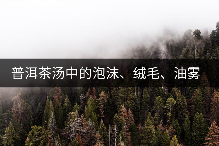 普洱茶湯中的泡沫、絨毛、油霧、絮狀物……原來(lái)是這些東西！