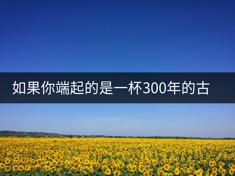 如果你端起的是一杯300年的古樹(shù)茶，那會(huì)是一種怎樣的心境？