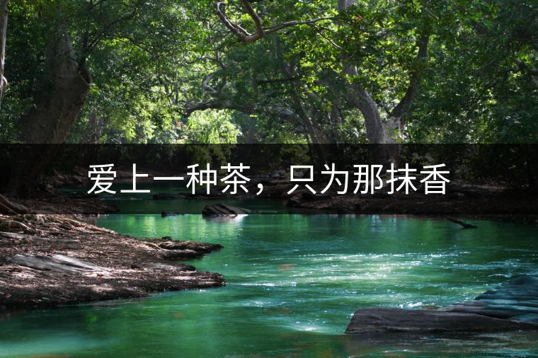 愛(ài)上一種茶，只為那抹香