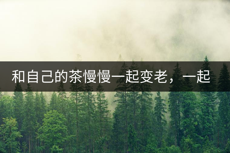 和自己的茶慢慢一起變老，一起變好