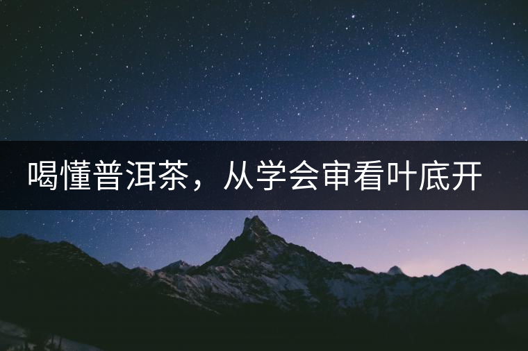 喝懂普洱茶，從學(xué)會審看葉底開始
