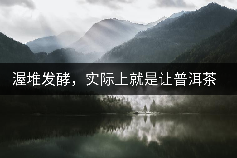渥堆發(fā)酵，實(shí)際上就是讓普洱茶“發(fā)霉”
