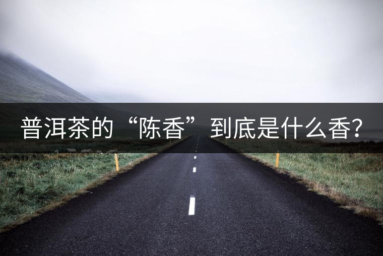 普洱茶的“陳香”到底是什么香？