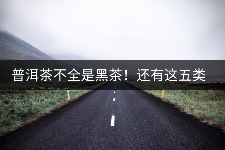 普洱茶不全是黑茶！還有這五類茶，現(xiàn)在知道還不算晚