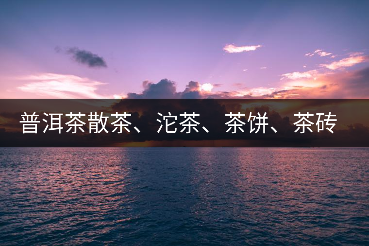 普洱茶散茶、沱茶、茶餅、茶磚哪種更好？