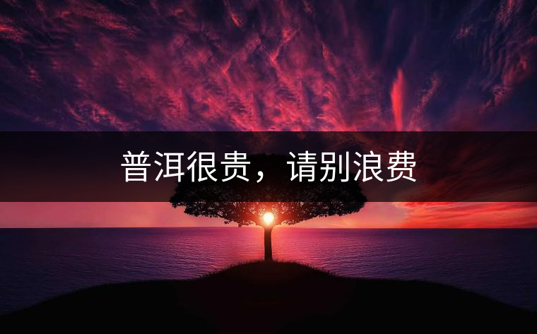 普洱很貴，請別浪費