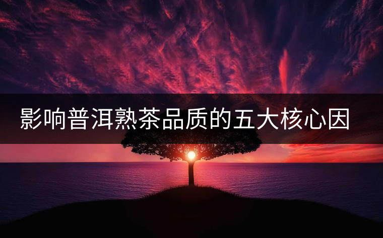 影響普洱熟茶品質(zhì)的五大核心因素