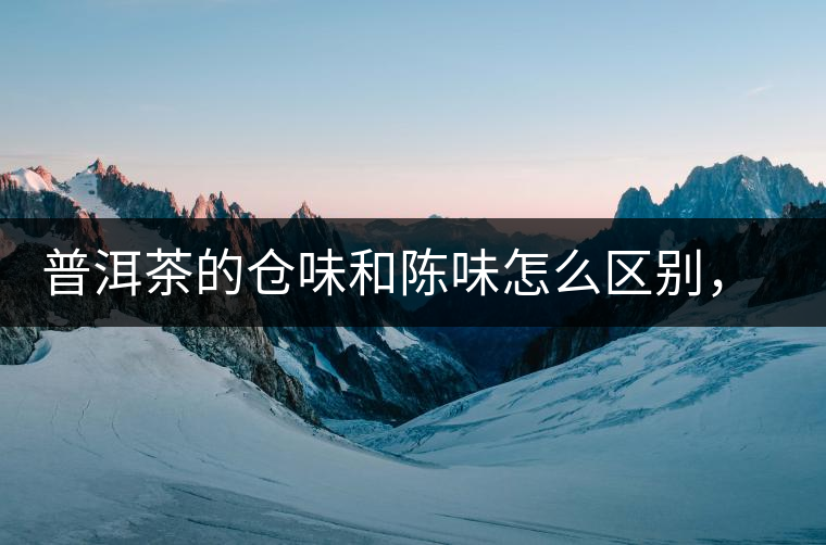 普洱茶的倉味和陳味怎么區(qū)別，如何避免？