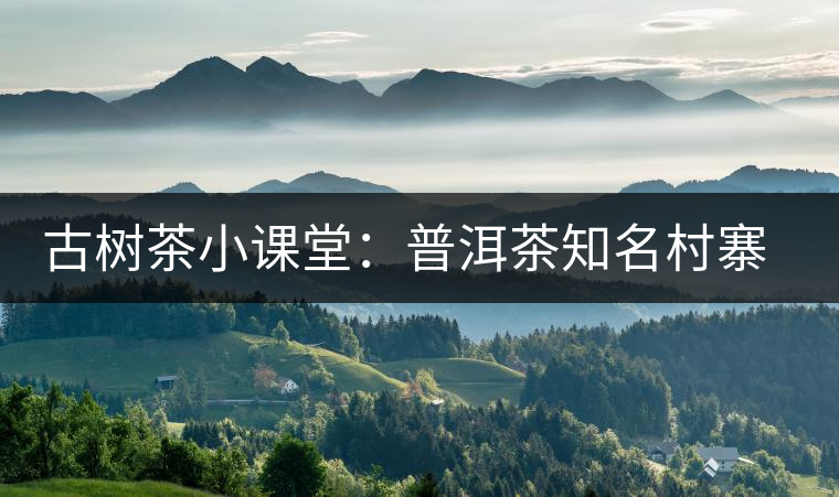 古樹茶小課堂：普洱茶知名村寨的生態(tài)環(huán)境如何？