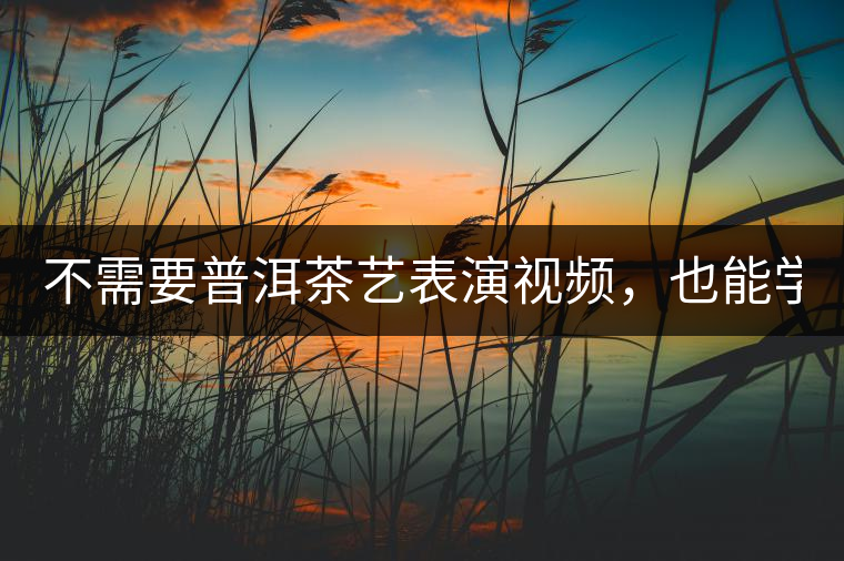 不需要普洱茶藝表演視頻，也能學會的茶藝！