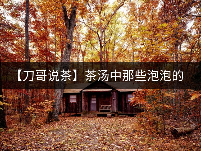 【刀哥說茶】茶湯中那些泡泡的始作俑者，茶皂素只是其中一個