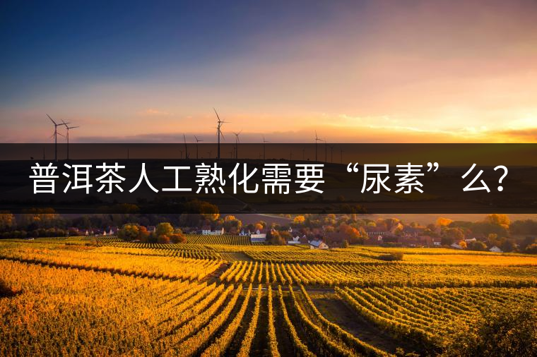 普洱茶人工熟化需要“尿素”么？