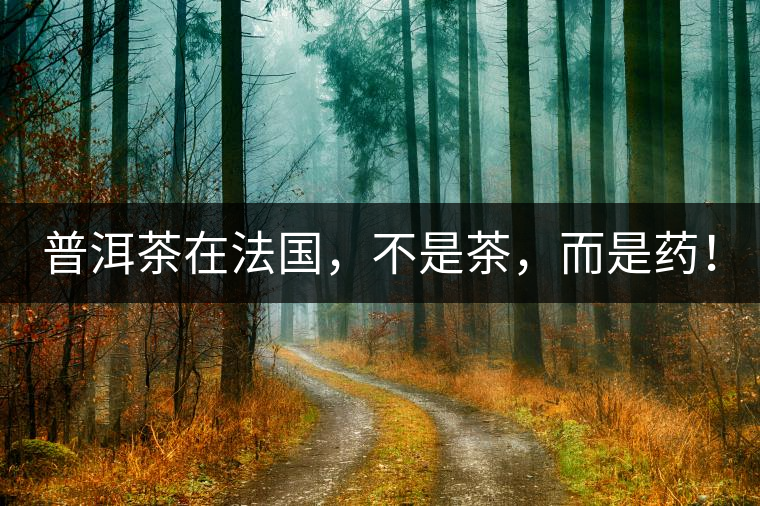 普洱茶在法國(guó)，不是茶，而是藥！