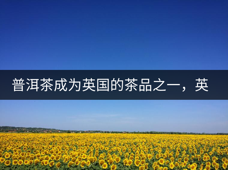 普洱茶成為英國的茶品之一，英國雜志給出7大理由