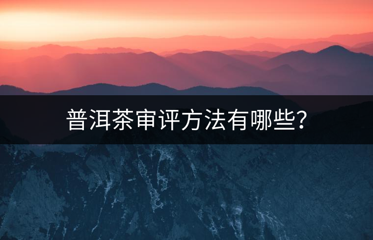 普洱茶審評方法有哪些？